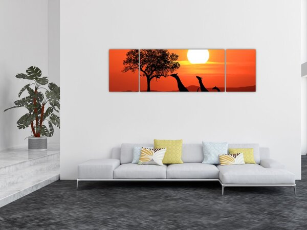 Obraz żyraf o zachodzie słońca (170x50 cm)