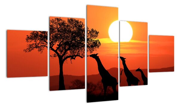Obraz żyraf o zachodzie słońca (125x70 cm)
