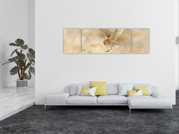 Obraz - Sowa Płomykówka (170x50 cm)