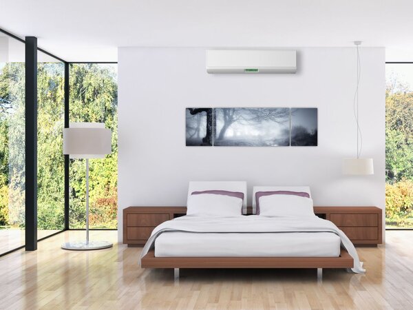 Obraz- Droga we mgle (170x50 cm)