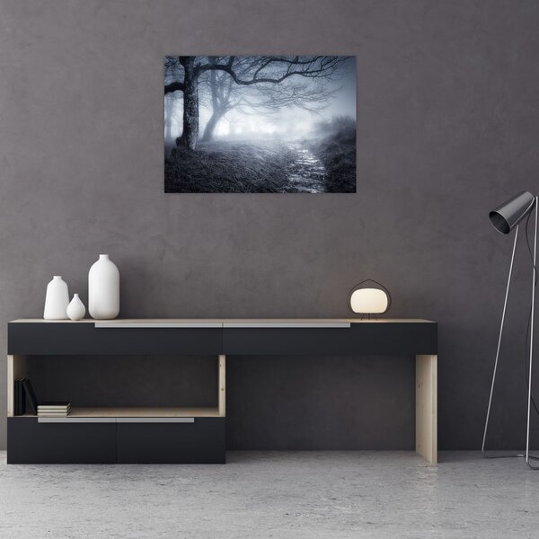 Obraz- Droga we mgle (70x50 cm)