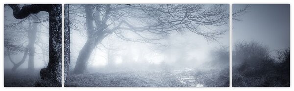 Obraz- Droga we mgle (170x50 cm)