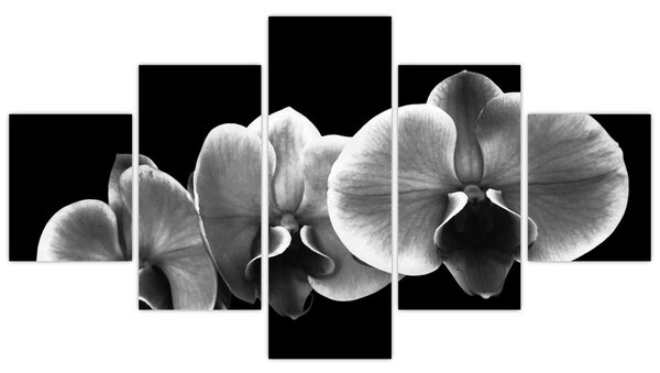 Obraz kwiatu orchidei (125x70 cm)