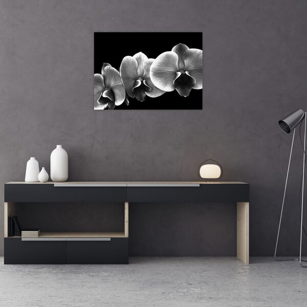 Obraz kwiatu orchidei (70x50 cm)