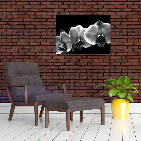 Obraz kwiatu orchidei (70x50 cm)