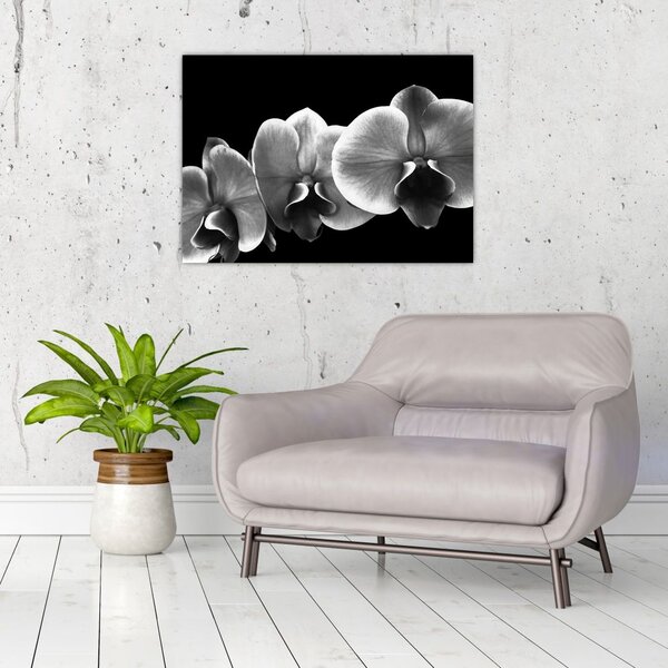 Obraz kwiatu orchidei (70x50 cm)