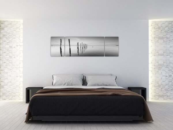 Obraz czarno - białej powierzchni wody (170x50 cm)
