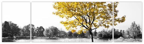 Obraz - Odpoczynek w parku (170x50 cm)