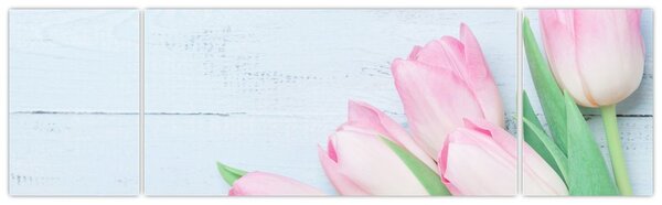 Zdjęcie - Bukiet tulipanów (170x50 cm)