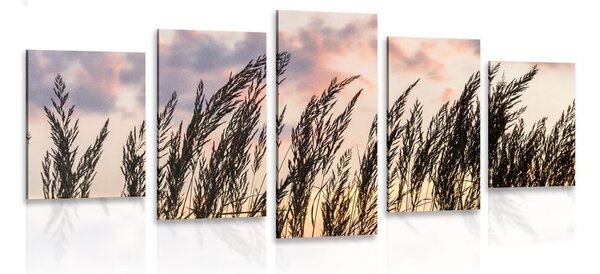 5-częściowy obraz trawa o zachodzie słońća
