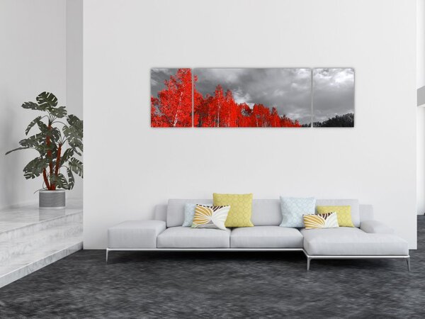 Obraz - Drzewa w kolorze jesieni (170x50 cm)