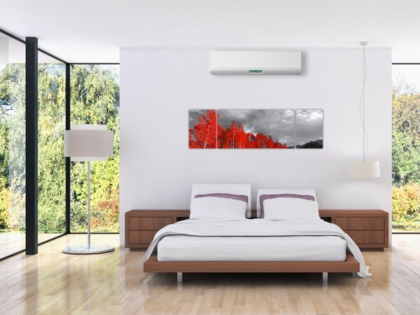 Obraz - Drzewa w kolorze jesieni (170x50 cm)