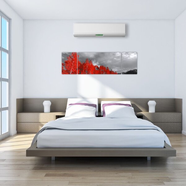 Obraz - Drzewa w kolorze jesieni (170x50 cm)