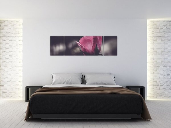 Obraz - Detal kwiatu róży (170x50 cm)