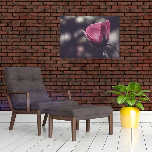 Obraz - Detal kwiatu róży (70x50 cm)