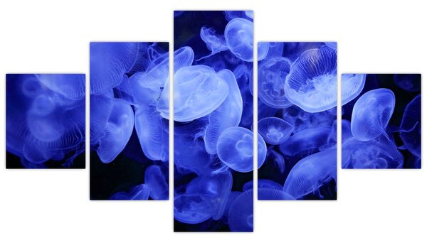 Obraz - Meduzy (125x70 cm)