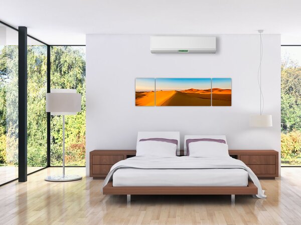 Obraz pustyni (170x50 cm)