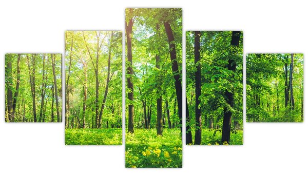 Obraz - Wiosenny las liściasty (125x70 cm)