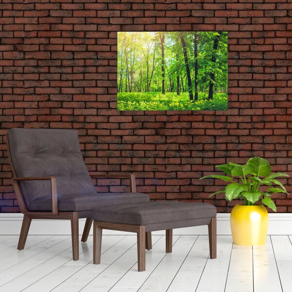Obraz - Wiosenny las liściasty (70x50 cm)