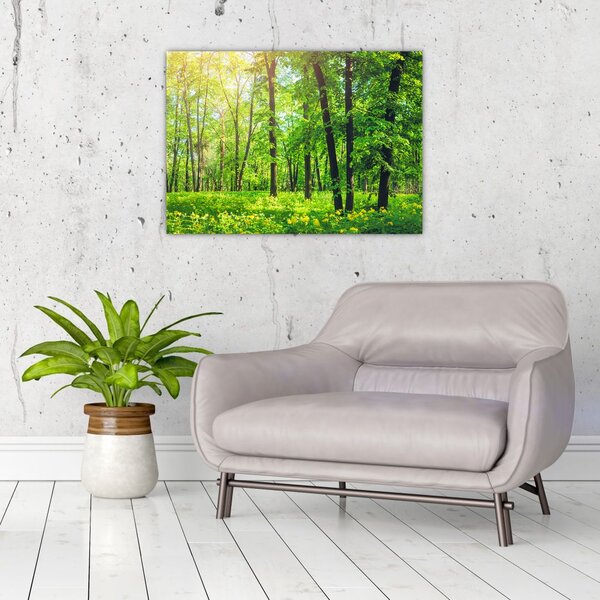 Obraz - Wiosenny las liściasty (70x50 cm)