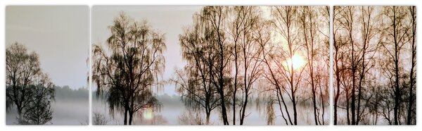 Obraz - Poranna suchość (170x50 cm)