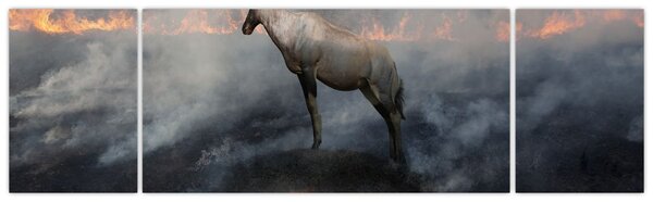 Obraz kozicy w płomieniach (170x50 cm)