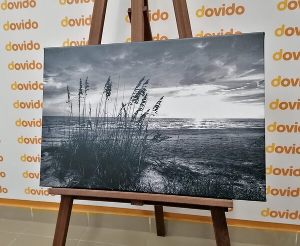 Obraz zachód słońca na plaży w wersji czarno-białej