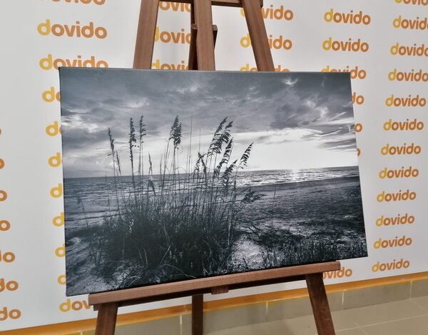 Obraz zachód słońca na plaży w wersji czarno-białej