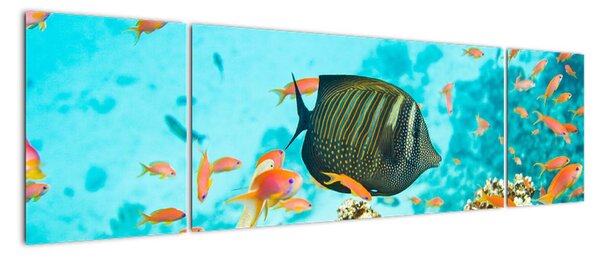 Obraz podwodnego świata (170x50 cm)