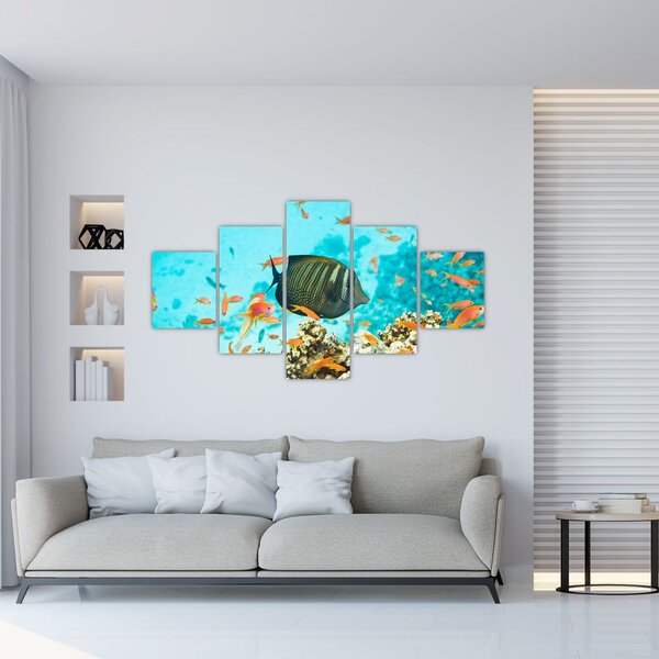 Obraz podwodnego świata (125x70 cm)