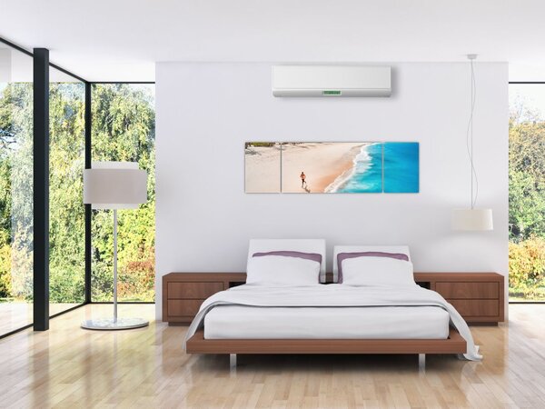Obraz - Bieg na plaży (170x50 cm)