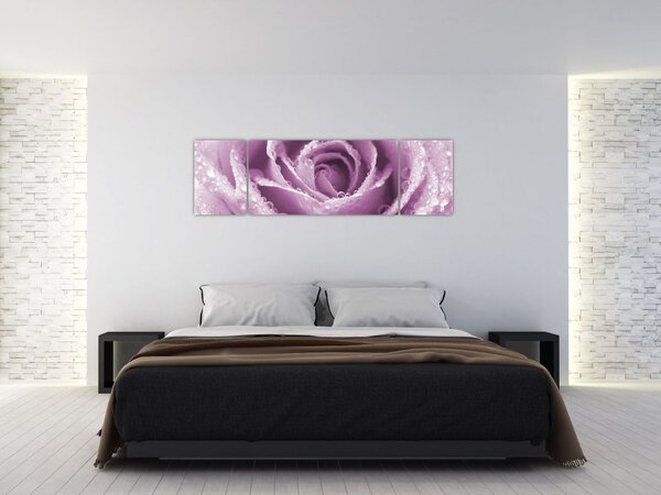 Obraz szczegółu kwiatu róży (170x50 cm)
