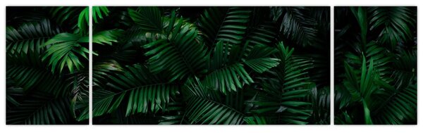 Obraz - Paprocie tropikalne (170x50 cm)