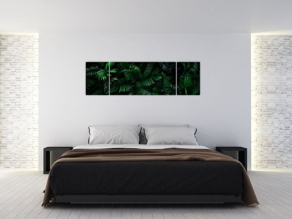 Obraz - Paprocie tropikalne (170x50 cm)