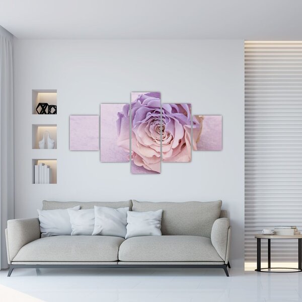 Obraz szczegółu kwiatu róży (125x70 cm)