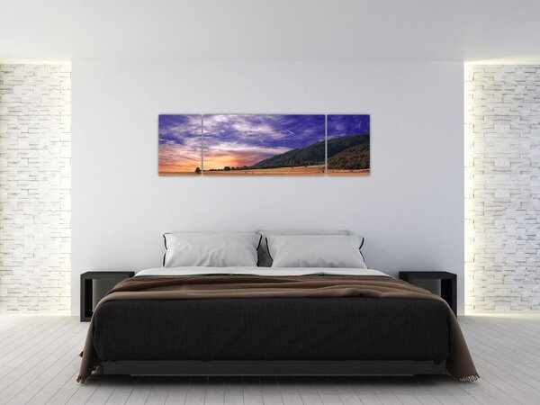 Obraz lawendowej łąki (170x50 cm)