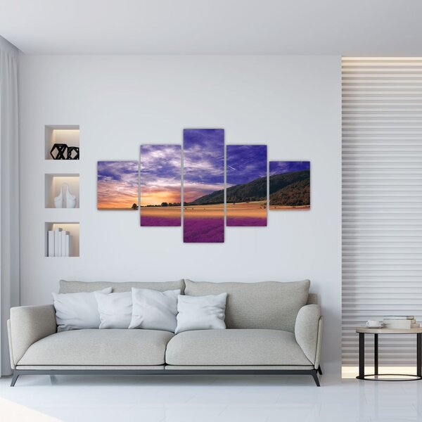 Obraz lawendowej łąki (125x70 cm)