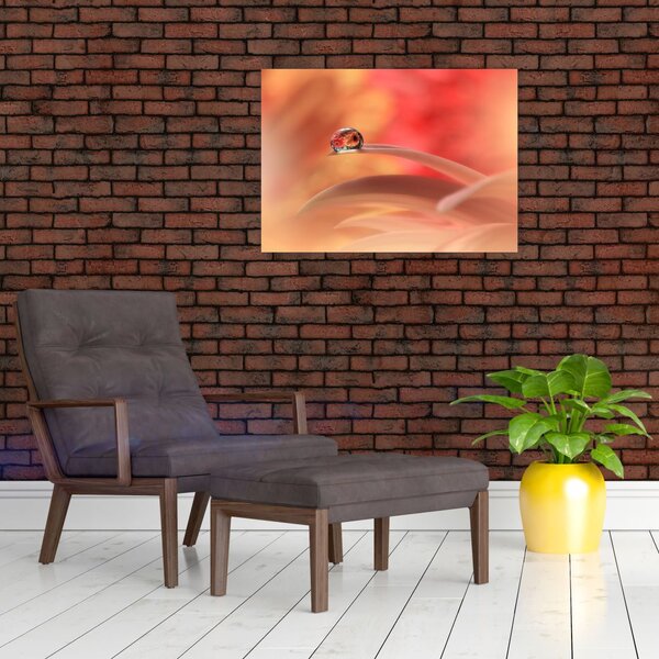 Obraz kwiecistej kropli rosy (70x50 cm)