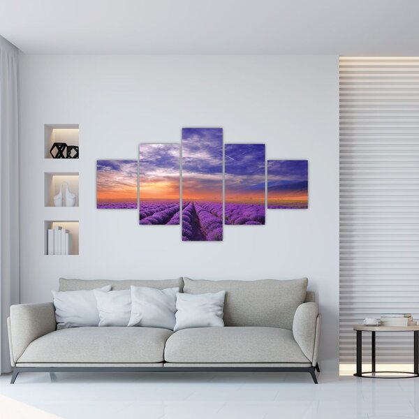 Obraz lawendowego pola (125x70 cm)
