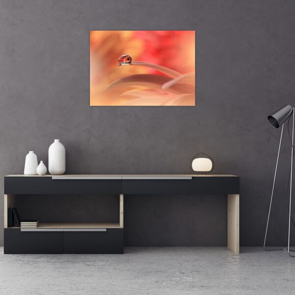 Obraz kwiecistej kropli rosy (70x50 cm)