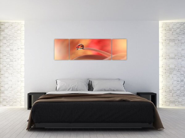Obraz kwiecistej kropli rosy (170x50 cm)