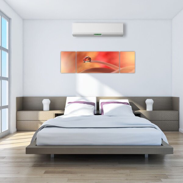 Obraz kwiecistej kropli rosy (170x50 cm)