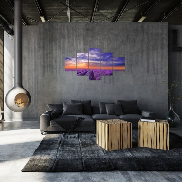 Obraz lawendowego pola (125x70 cm)