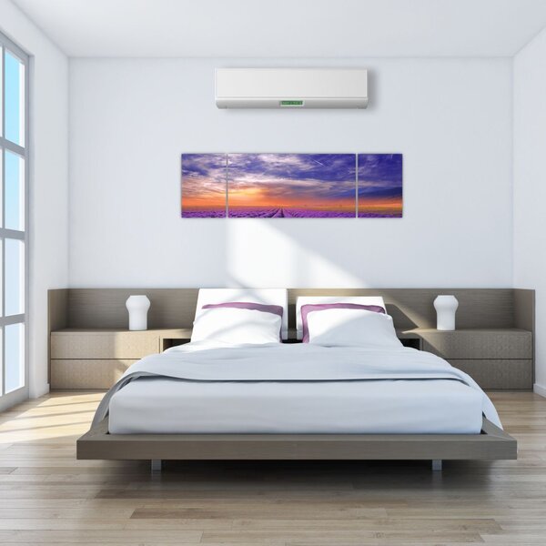 Obraz lawendowego pola (170x50 cm)