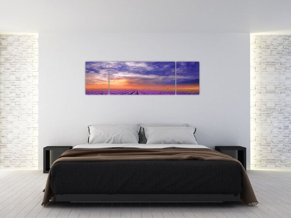 Obraz lawendowego pola (170x50 cm)