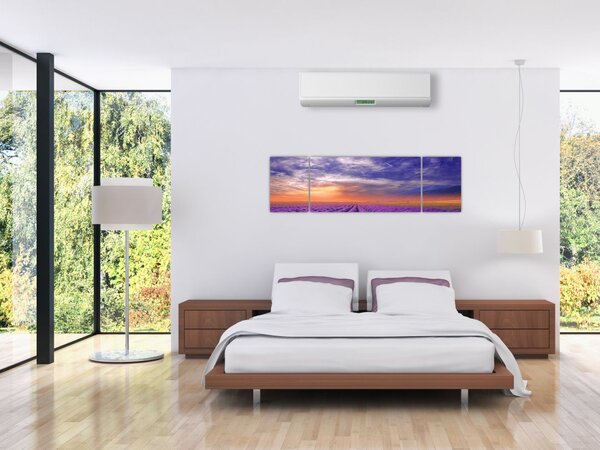 Obraz lawendowego pola (170x50 cm)
