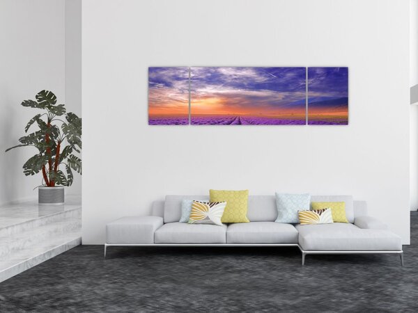 Obraz lawendowego pola (170x50 cm)