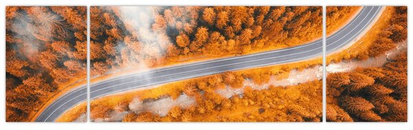 Obraz - Górska droga (170x50 cm)