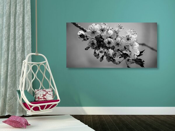 Obraz gałązka kwitnącej wiśni w wersji czarno-białej