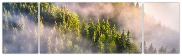 Obraz górskiego krajobrazu (170x50 cm)